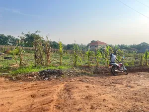 13 Decimals of Land in Bulindo