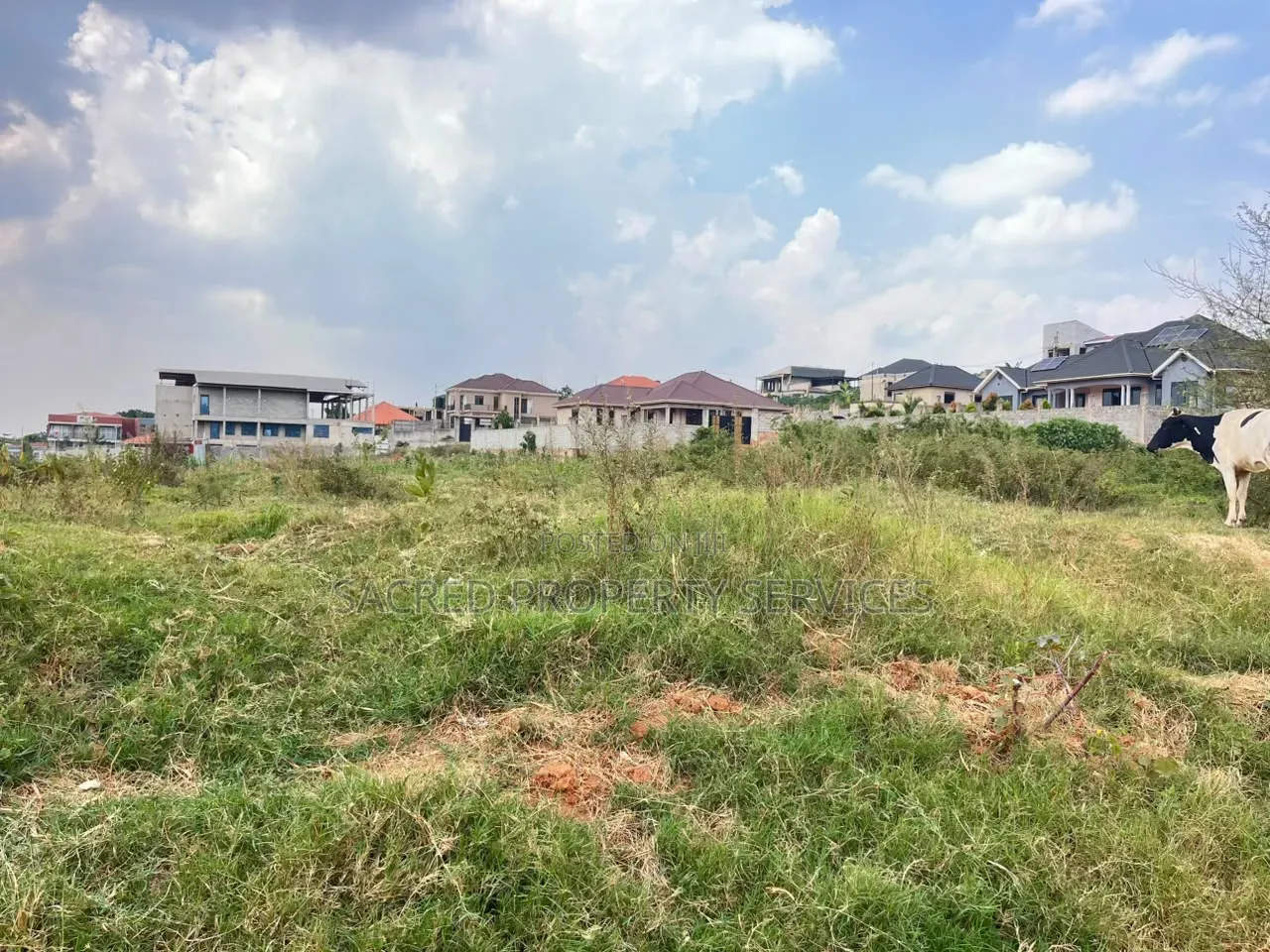 18 Decimals of Land in Nakweelo
