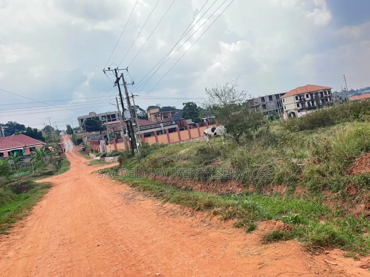 18 Decimals of Land in Nakweelo