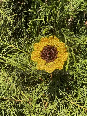 Sunflower Earrings