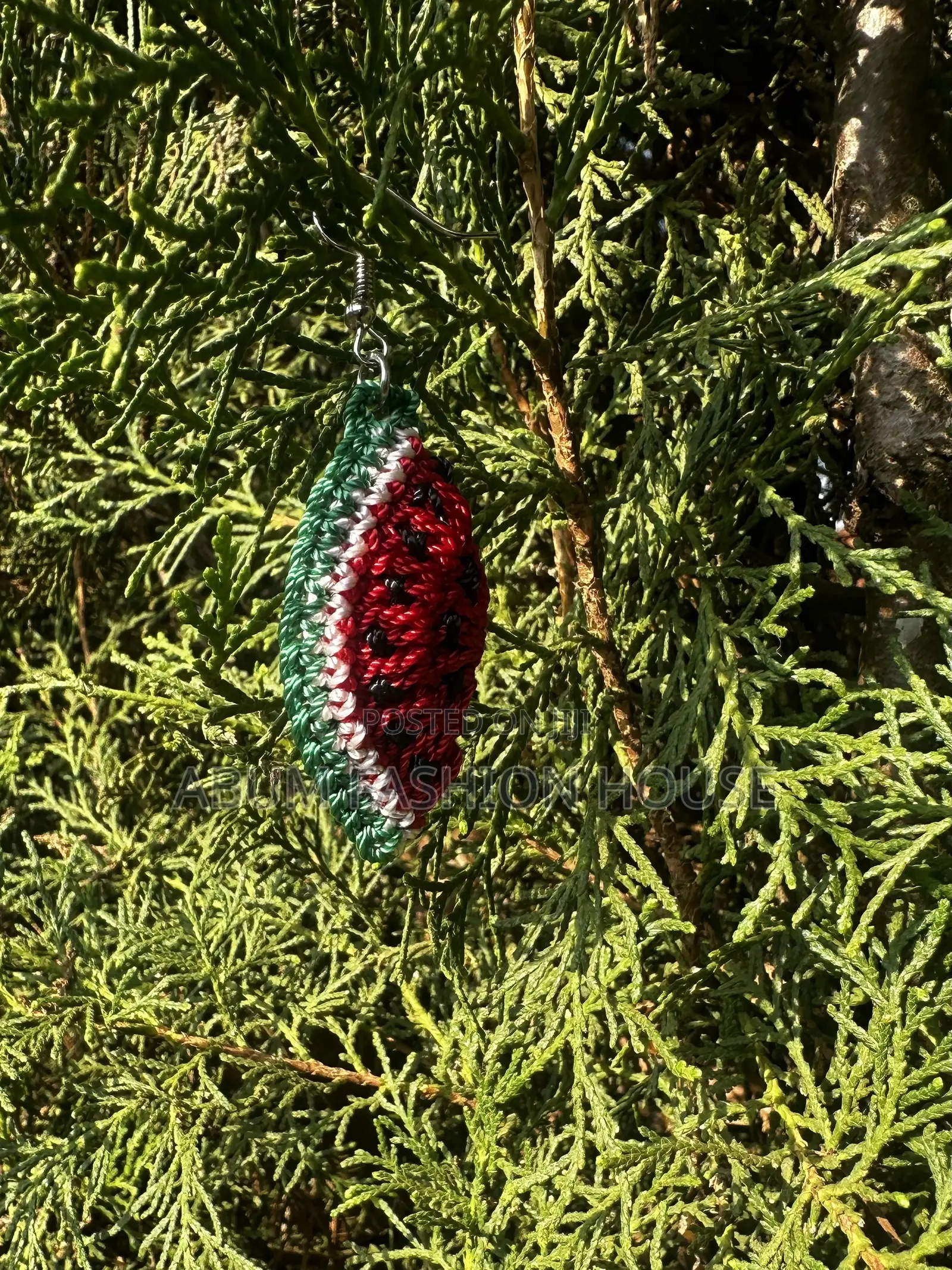 Watermelon Earrings