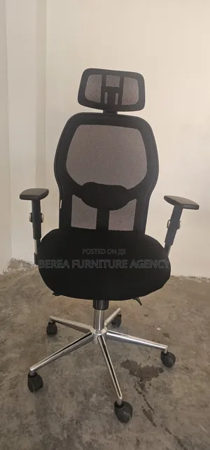 Office Chair (No More Back Pain)