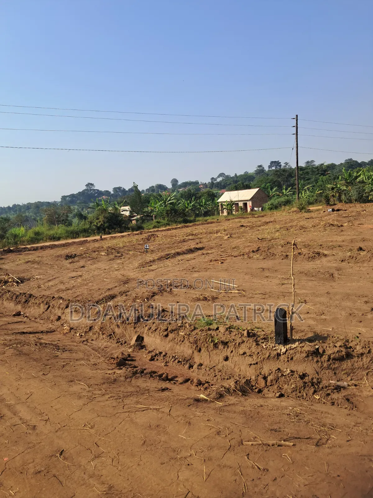 Estate Land
