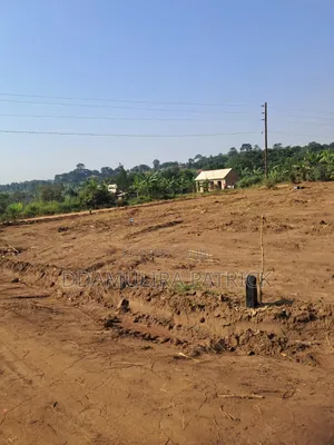 Estate Land