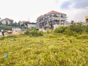 50by100 Kira Mulawa 75m Ready Title