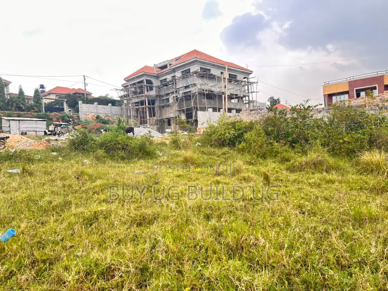 50by100 Kira Mulawa 75m Ready Title