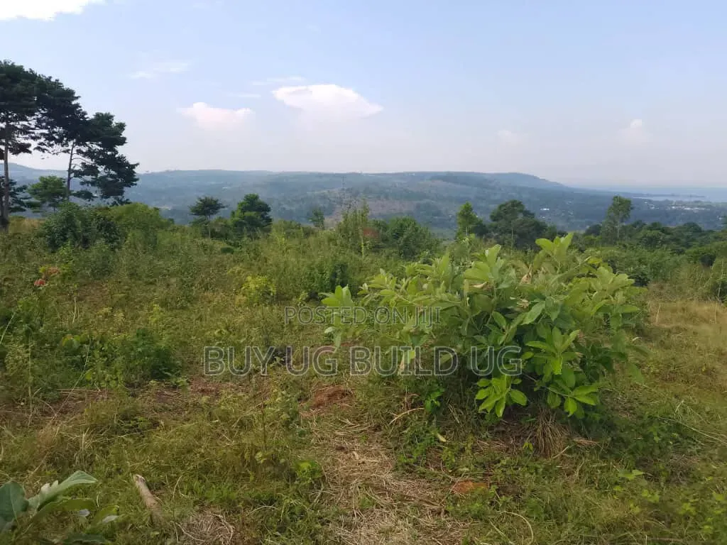 Beautiful 13acres for Sale in Kiyindi_Buikwe at 15million_ugx Per