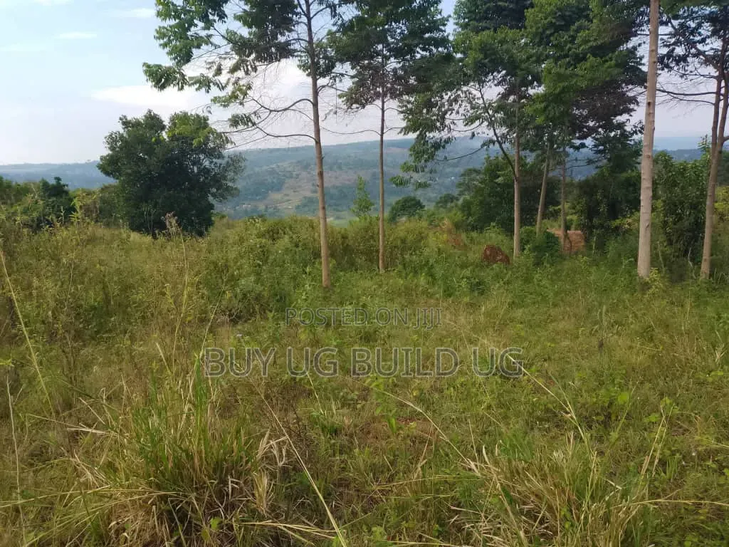 Beautiful 13acres for Sale in Kiyindi_Buikwe at 15million_ugx Per