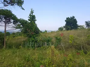 Beautiful 13acres for Sale in Kiyindi_Buikwe at 15million_ugx Per