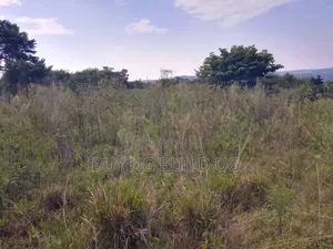 Beautiful 13acres for Sale in Kiyindi_Buikwe at 15million_ugx Per