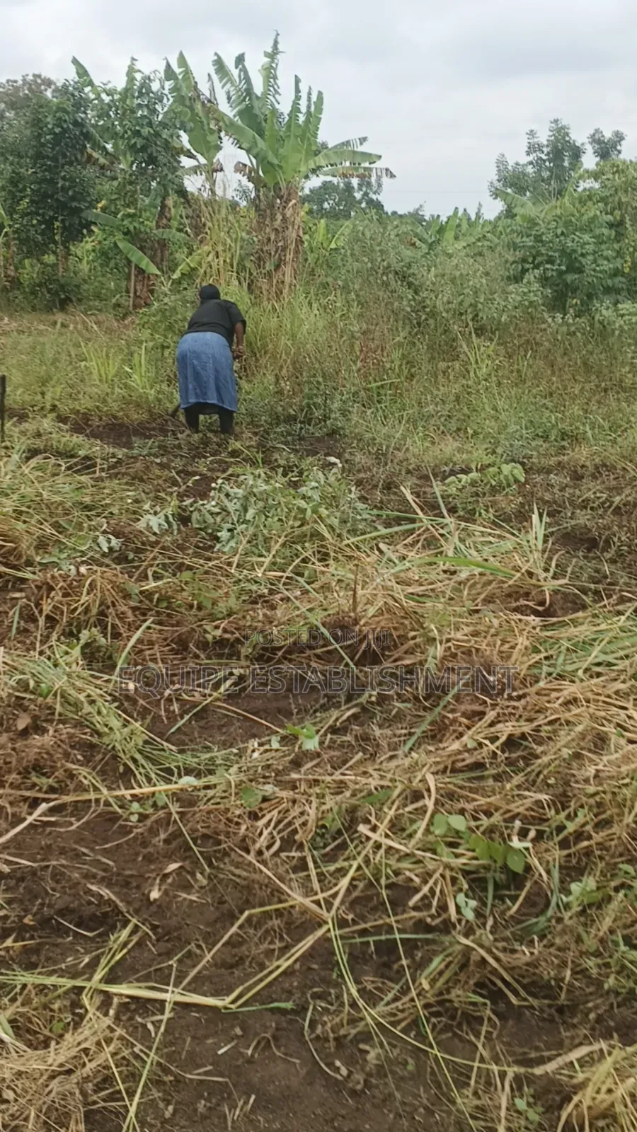 Kibanja Kikandwa Mukono