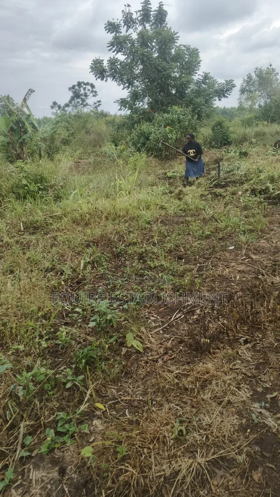 Kibanja Kikandwa Mukono