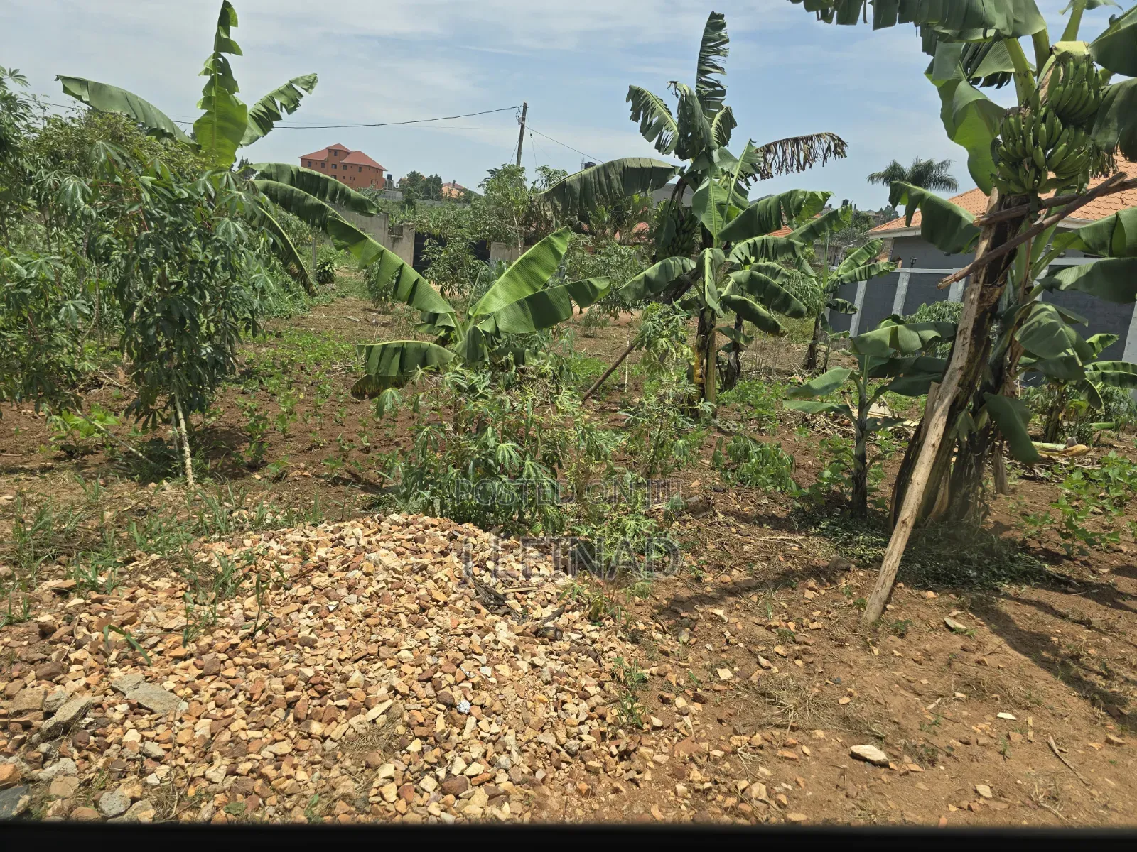 Attractive Land in Nabusugwe Jomayi Estate