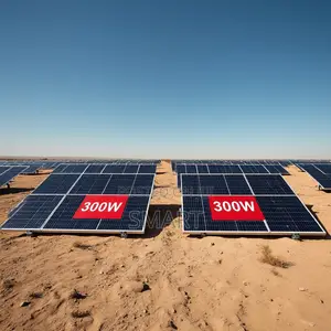 Best Quality 300W Solar Panel at Affordable Price