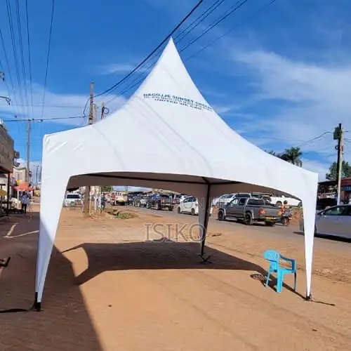 A Pure White Butterfly Korean Material 50 Seater Tent