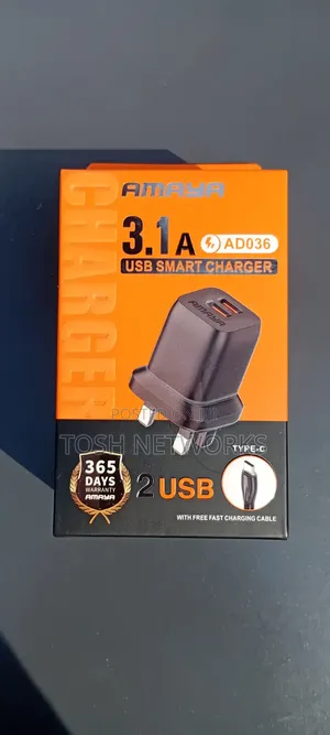 Amaya 3.1 a USB Smart Charger