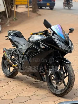 Kawasaki Ninja 300 2015 Black