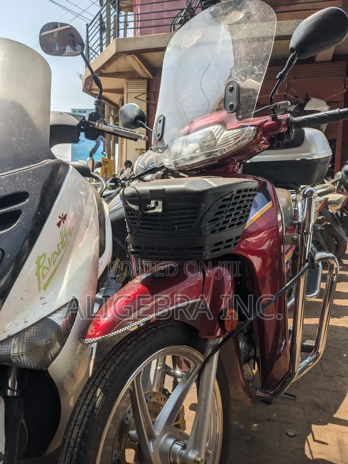 Senke SK110T 2018 Red
