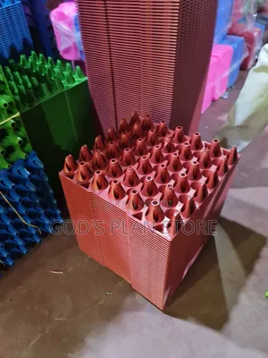 Poly Plastic Eggs Trays Plastic Eggs Trays 100pcs