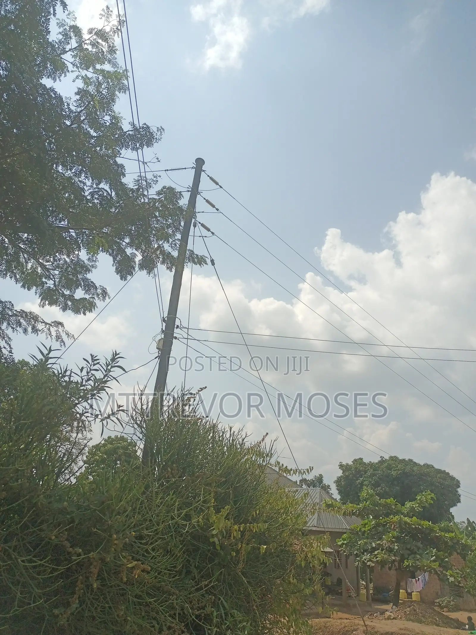 Bombo 6ecras Each 65m