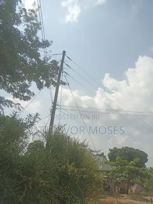 Bombo 6ecras Each 65m