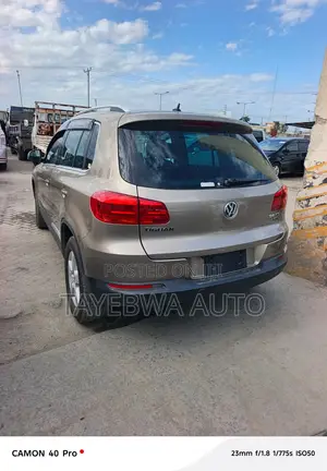Volkswagen Tiguan 2013 Gray