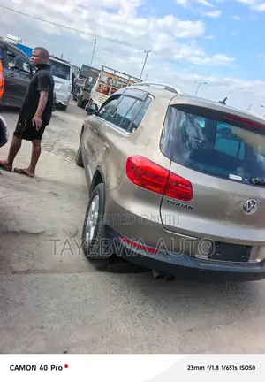 Volkswagen Tiguan 2013 Gray