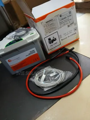 100ah 1 Felicity Lithium Battery