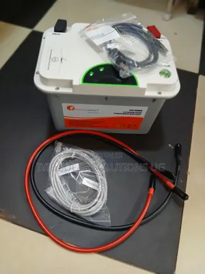 100ah 1 Felicity Lithium Battery