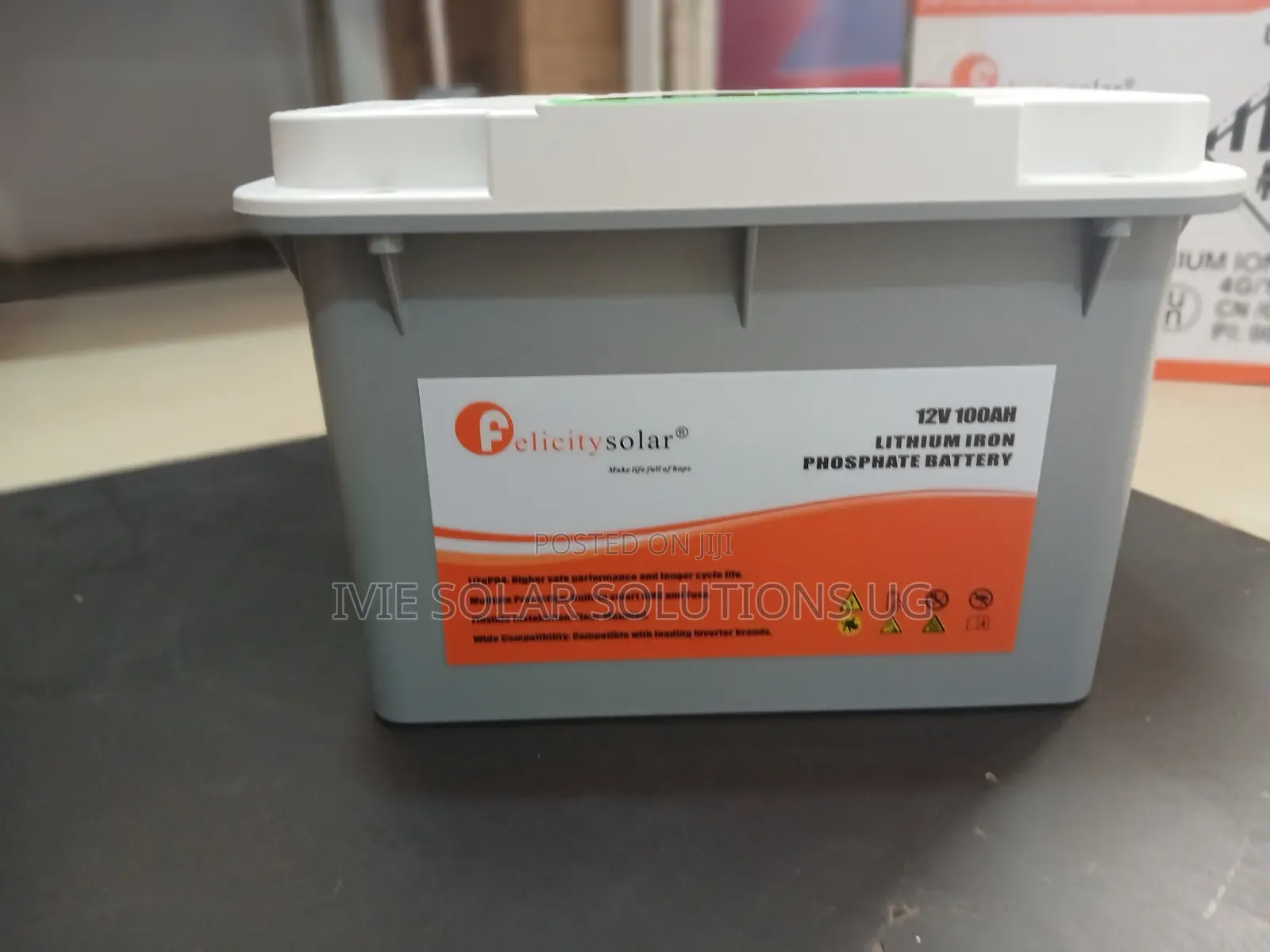 100ah 1 Felicity Lithium Battery