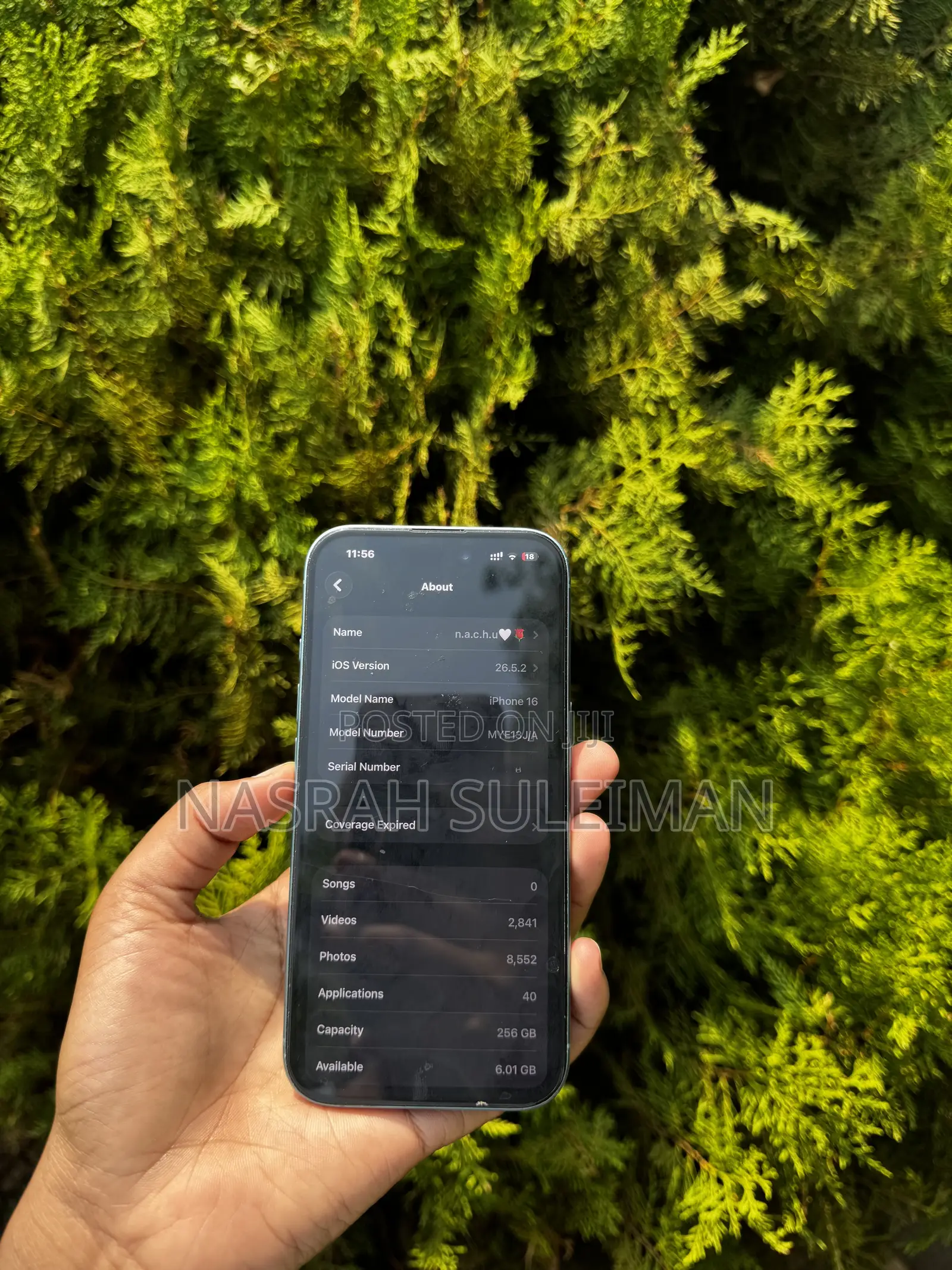 Apple iPhone 16 256 GB