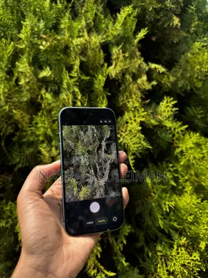 Apple iPhone 16 256 GB