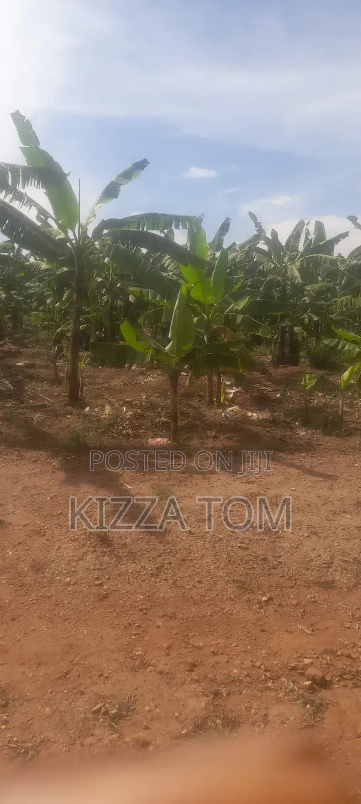 Land and Plots for Sale