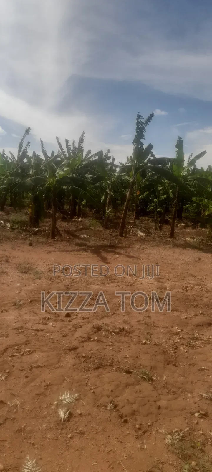 Land and Plots for Sale
