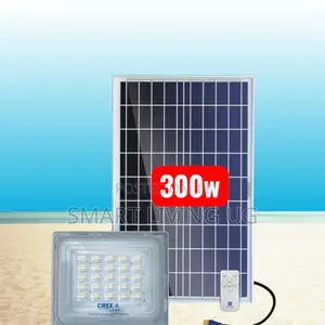 Blue Carbon 300W Outdoor Security Flood Light