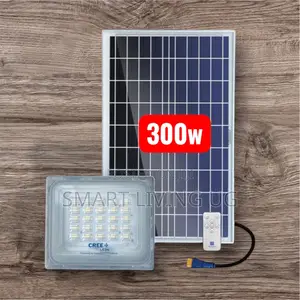 Blue Carbon 300W High Lumen Solar Flood Light