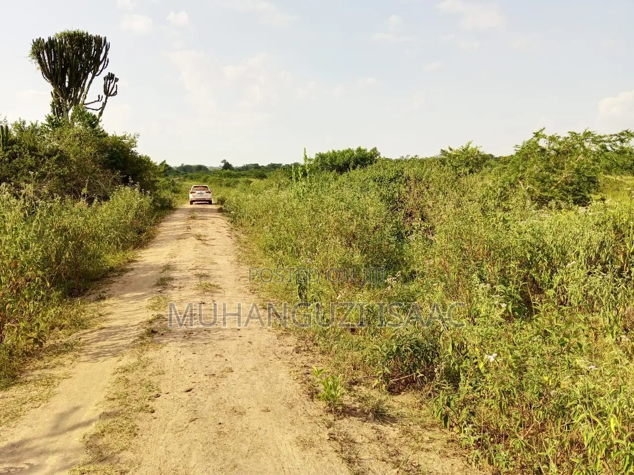 Farm Land for Sale