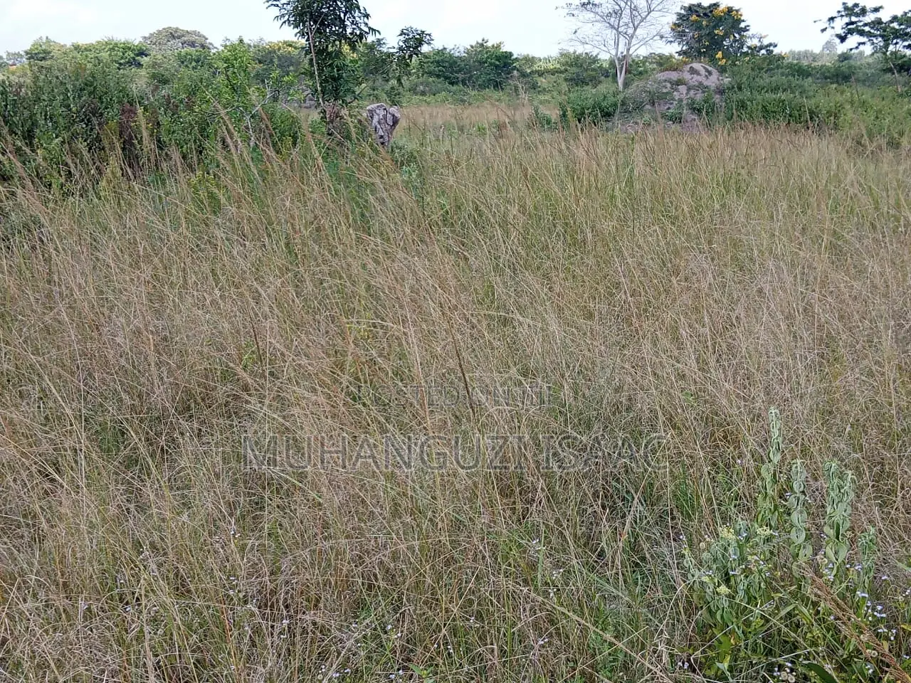 Farm Land for Sale