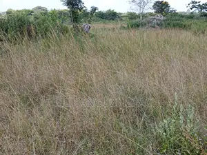 Farm Land for Sale