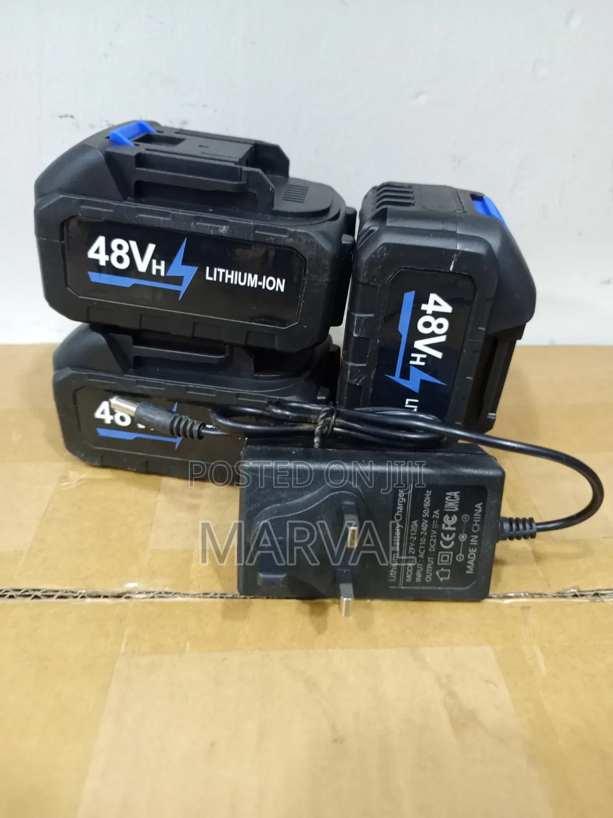48V Lithium-Ion Batter Y With Charger