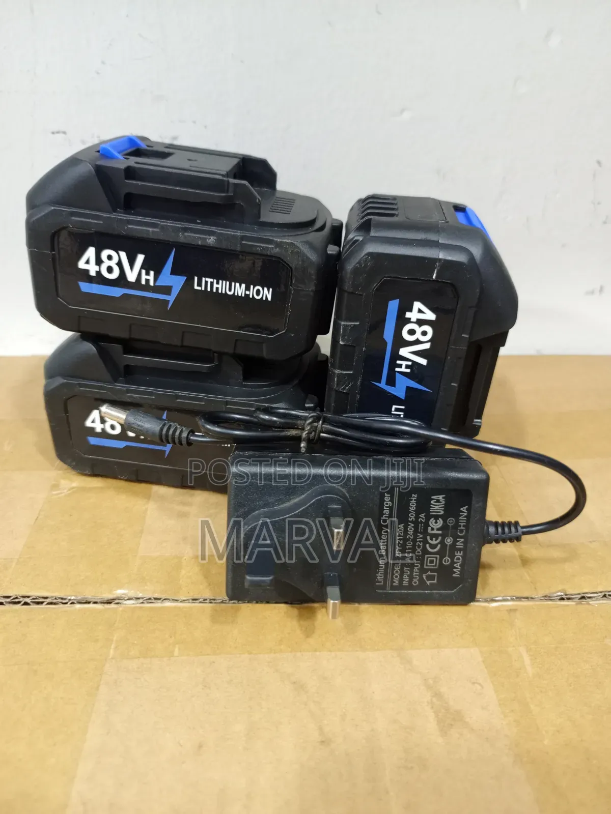 48V Lithium-Ion Batter Y With Charger