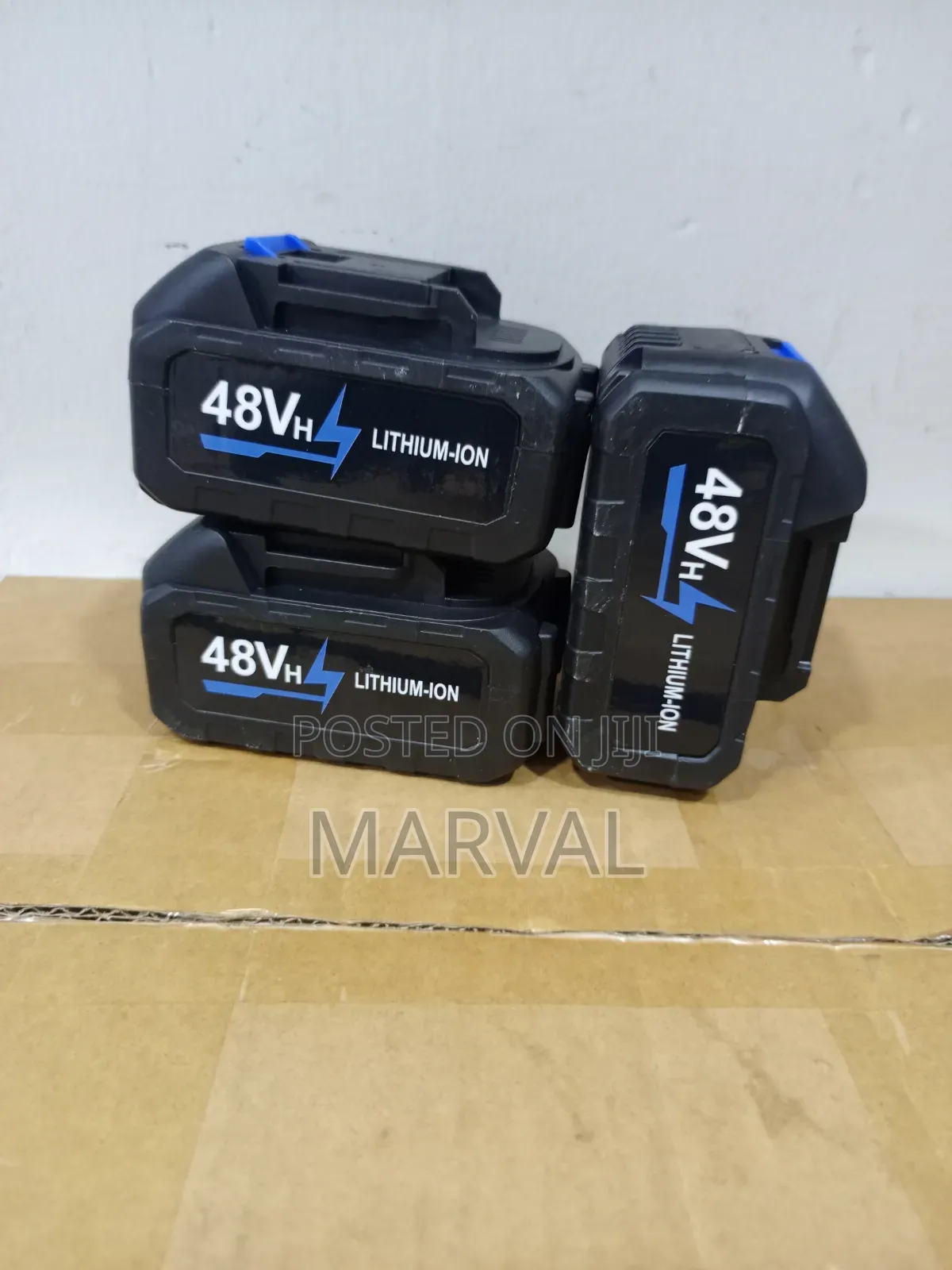 48V Lithium-Ion Batter Y With Charger