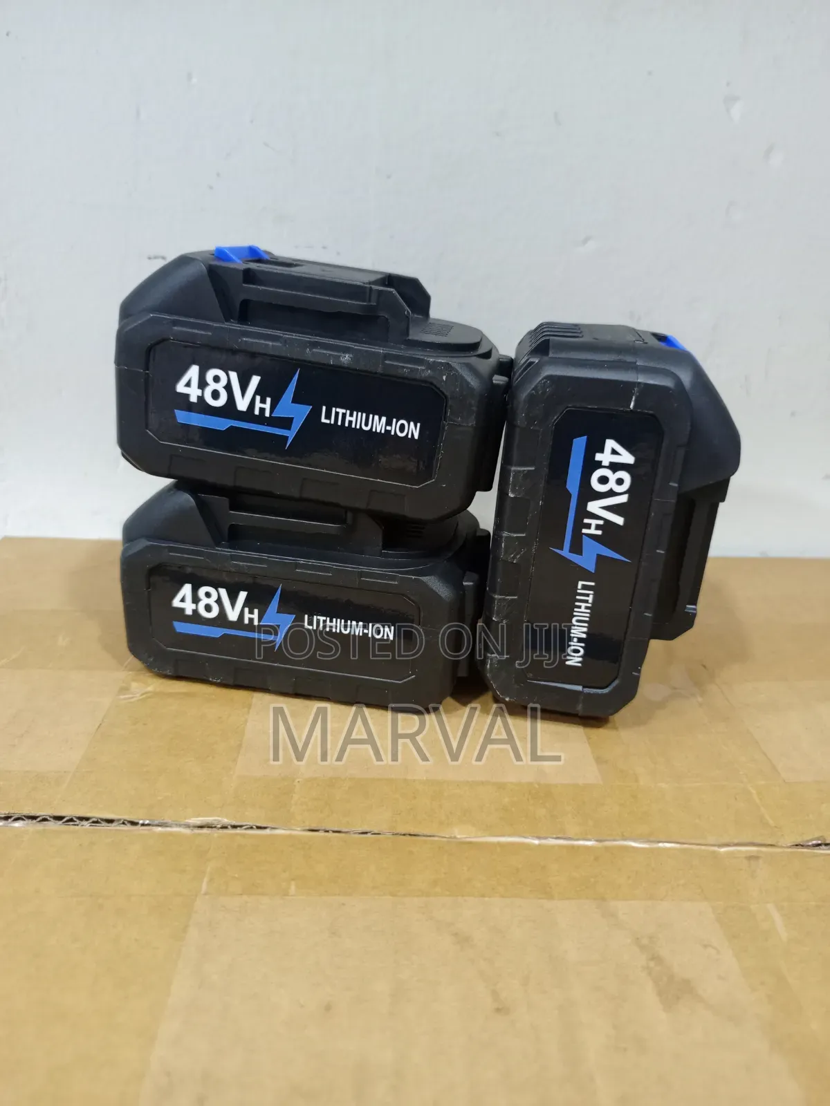 48V Lithium-Ion Batter Y With Charger
