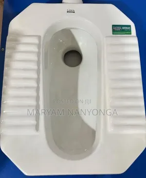Scouting Toilets