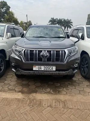 Toyota Land Cruiser Prado 2.8 2017 Gray