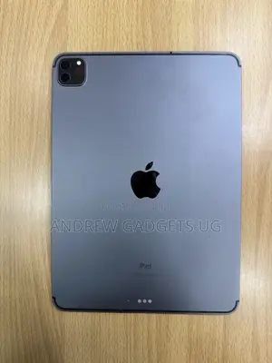 Apple iPad Pro 11 (2018) 256 GB Gray