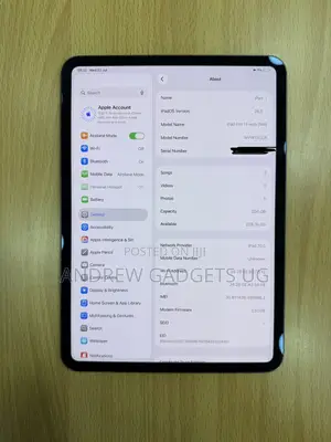 Apple iPad Pro 11 (2024) 256 GB Gray