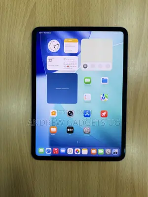Apple iPad Pro 11 (2024) 256 GB Gray