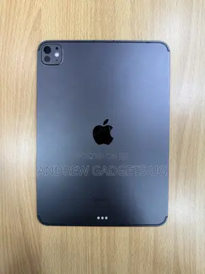 Apple iPad Pro 11 (2024) 256 GB Gray
