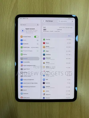 Apple iPad Pro 11 (2024) 256 GB Gray